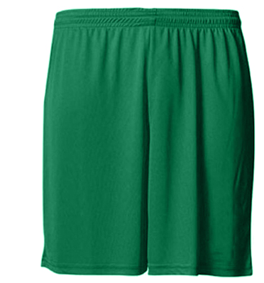 Athletic Performance Gym Shorts (Physical Education Gear)